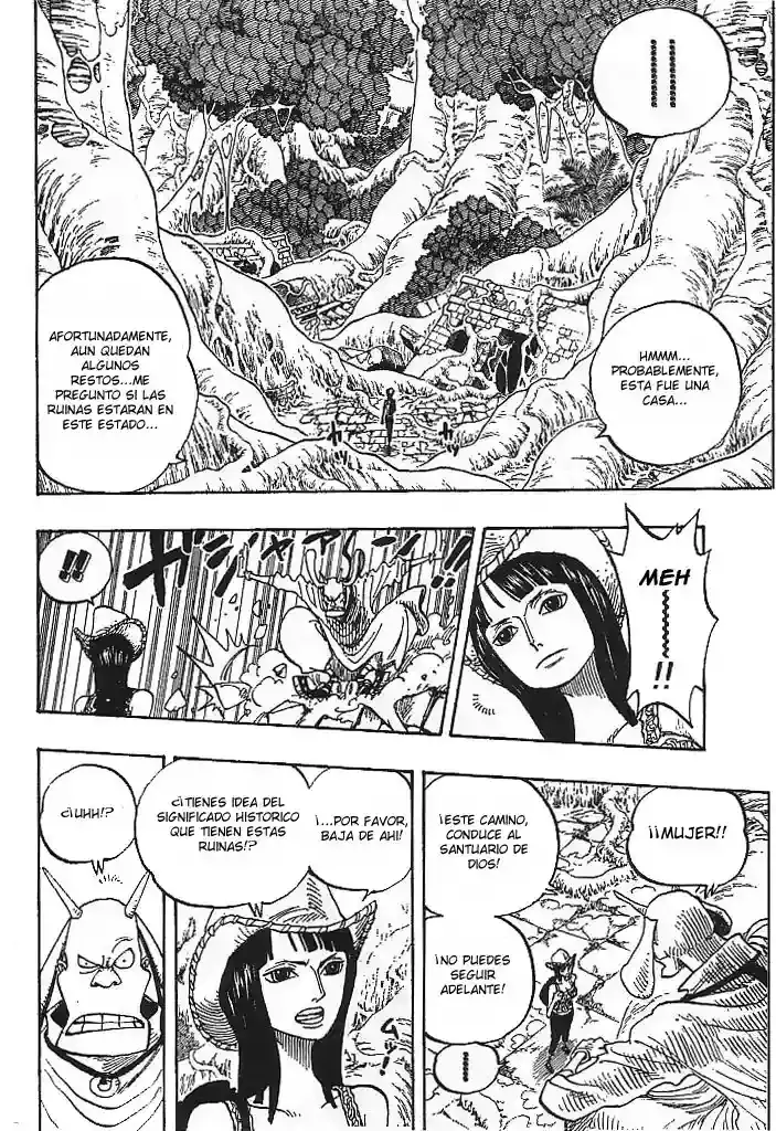 One Piece capítulo 258 página 8