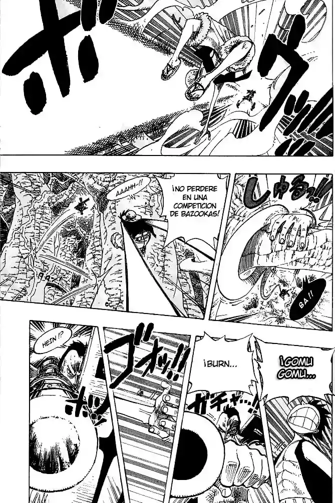 One Piece capítulo 260 página 14