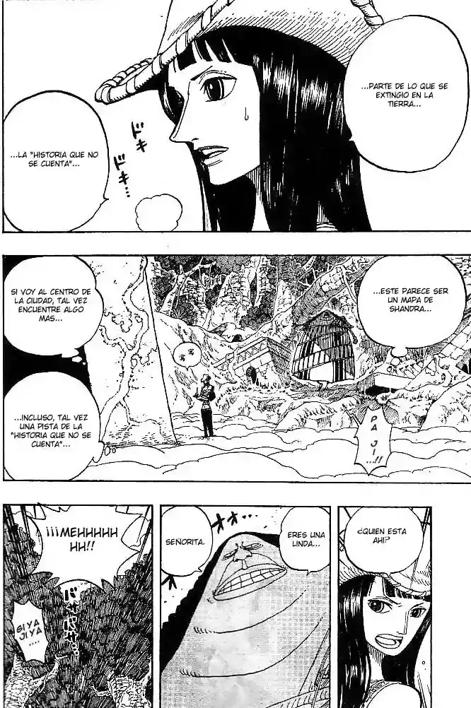 One Piece capítulo 261 página 14