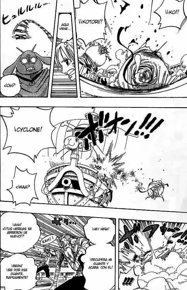 One Piece capítulo 263 página 14