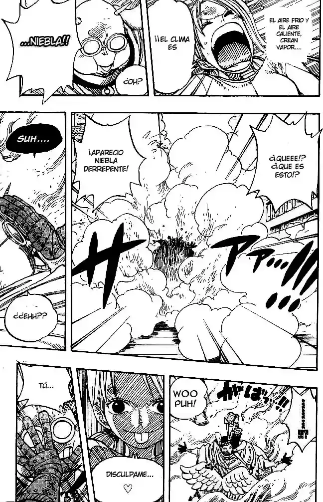One Piece capítulo 263 página 17