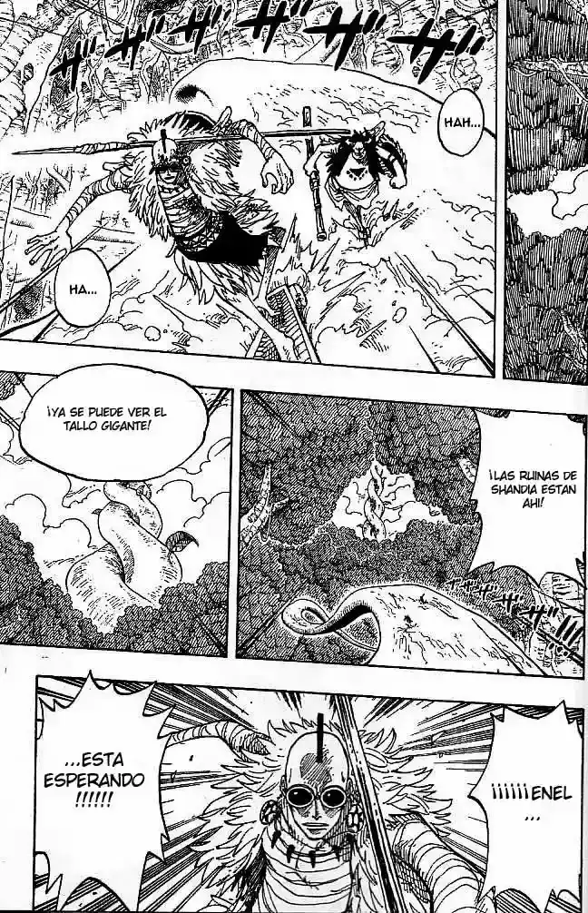 One Piece capítulo 263 página 5