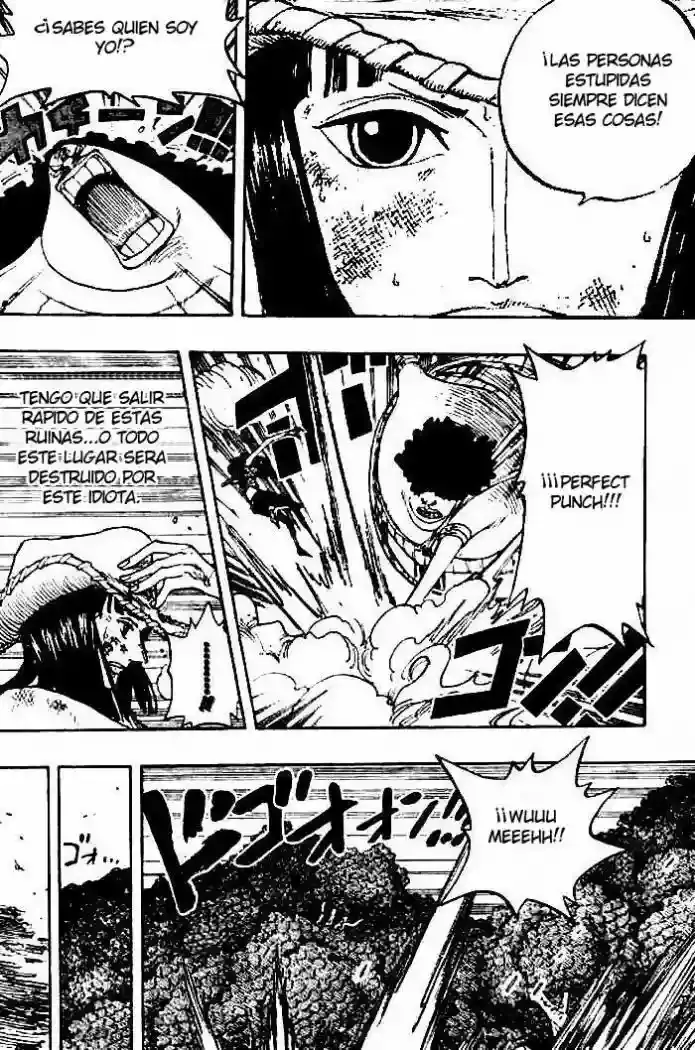 One Piece capítulo 264 página 10