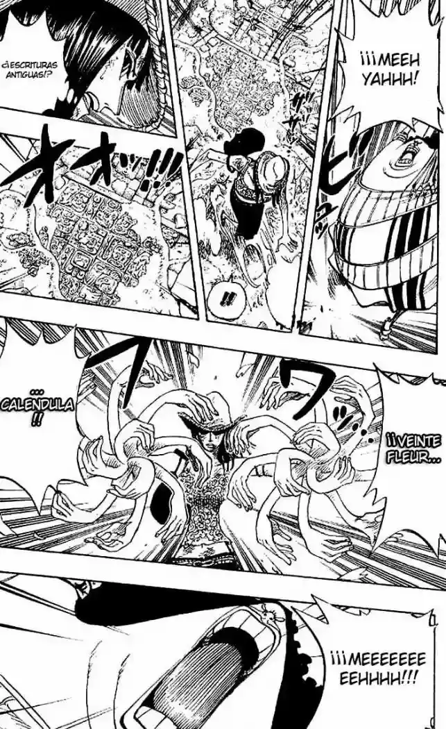 One Piece capítulo 264 página 8