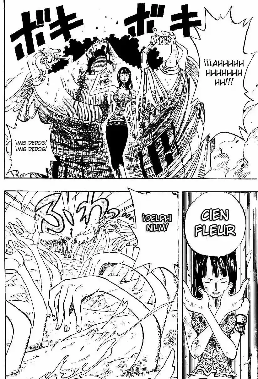 One Piece capítulo 265 página 16