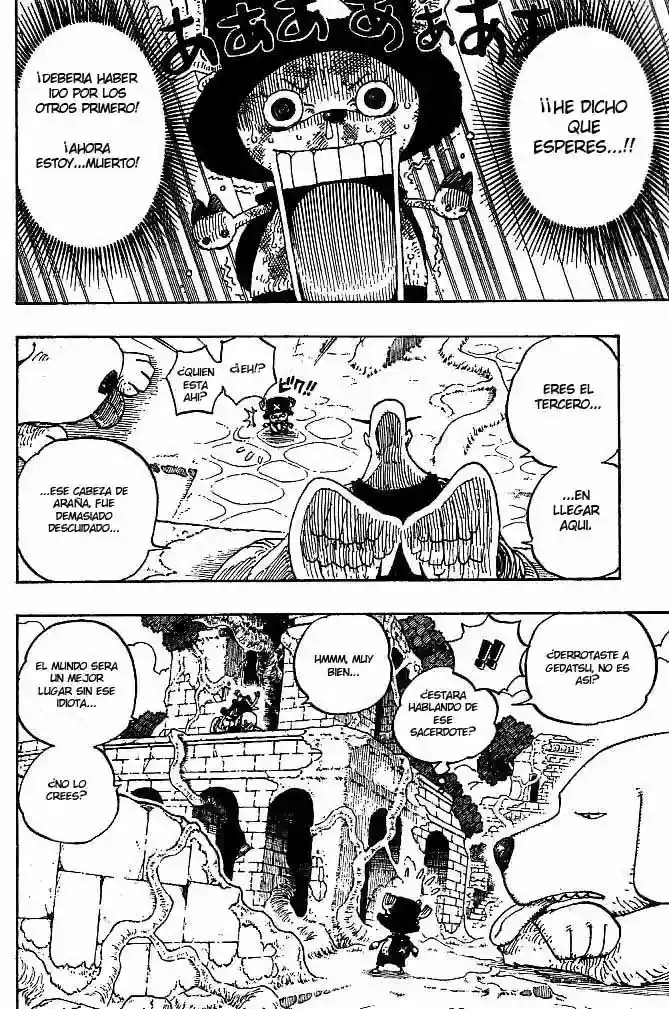 One Piece capítulo 266 página 8