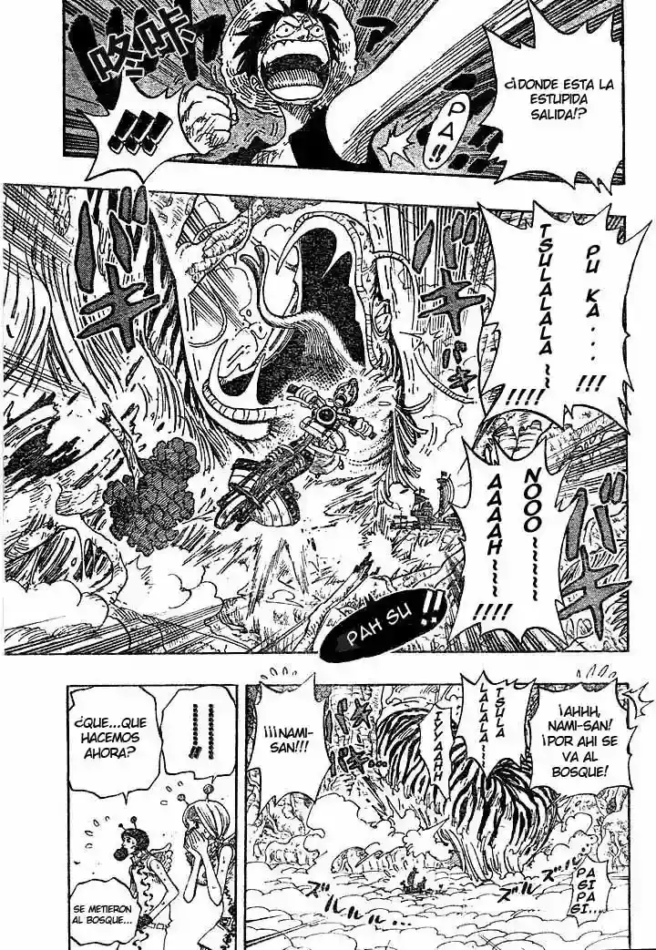 One Piece capítulo 267 página 5