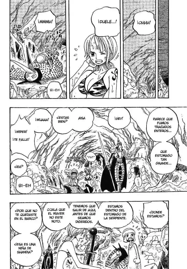 One Piece capítulo 270 página 18