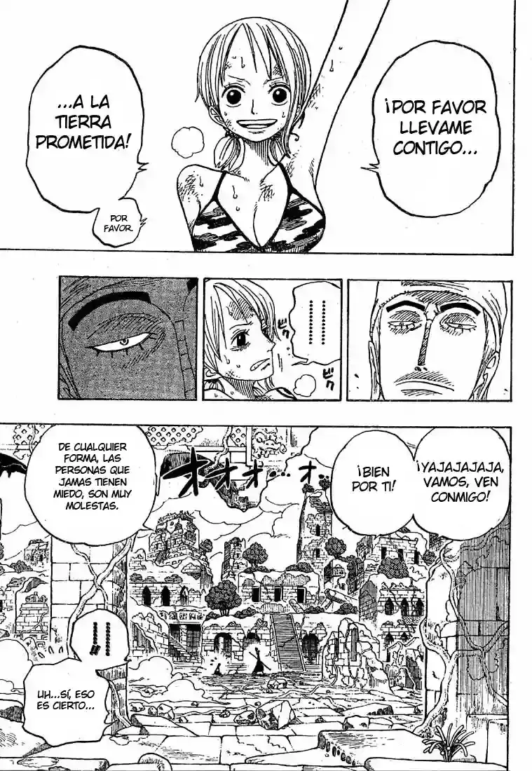 One Piece capítulo 276 página 18