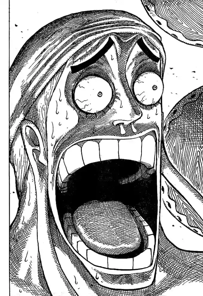 One Piece capítulo 279 página 16