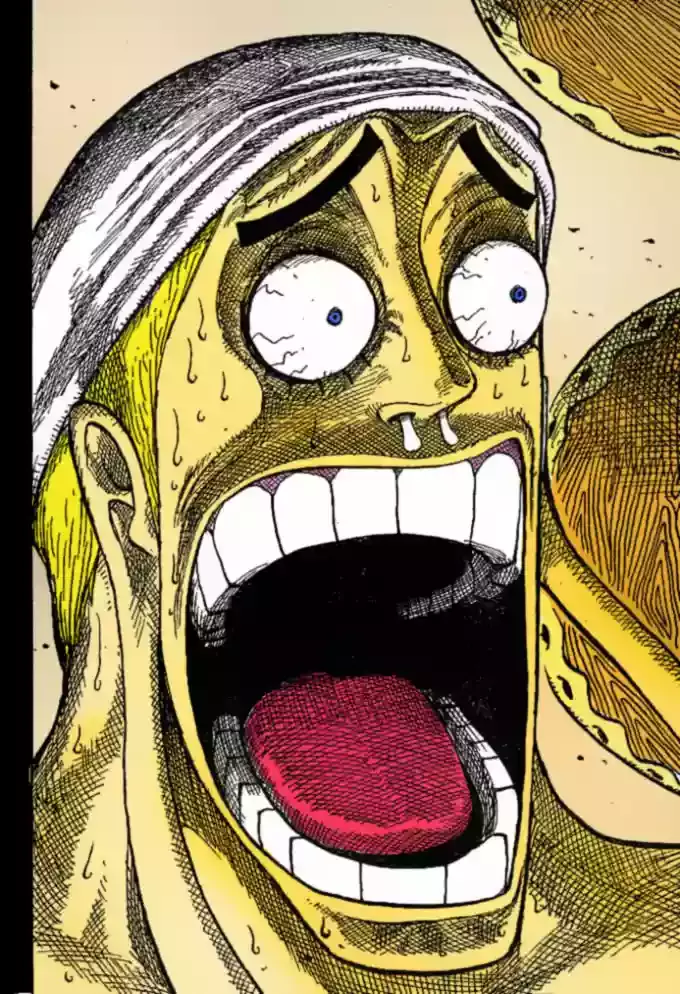 One Piece capítulo 279 página 17
