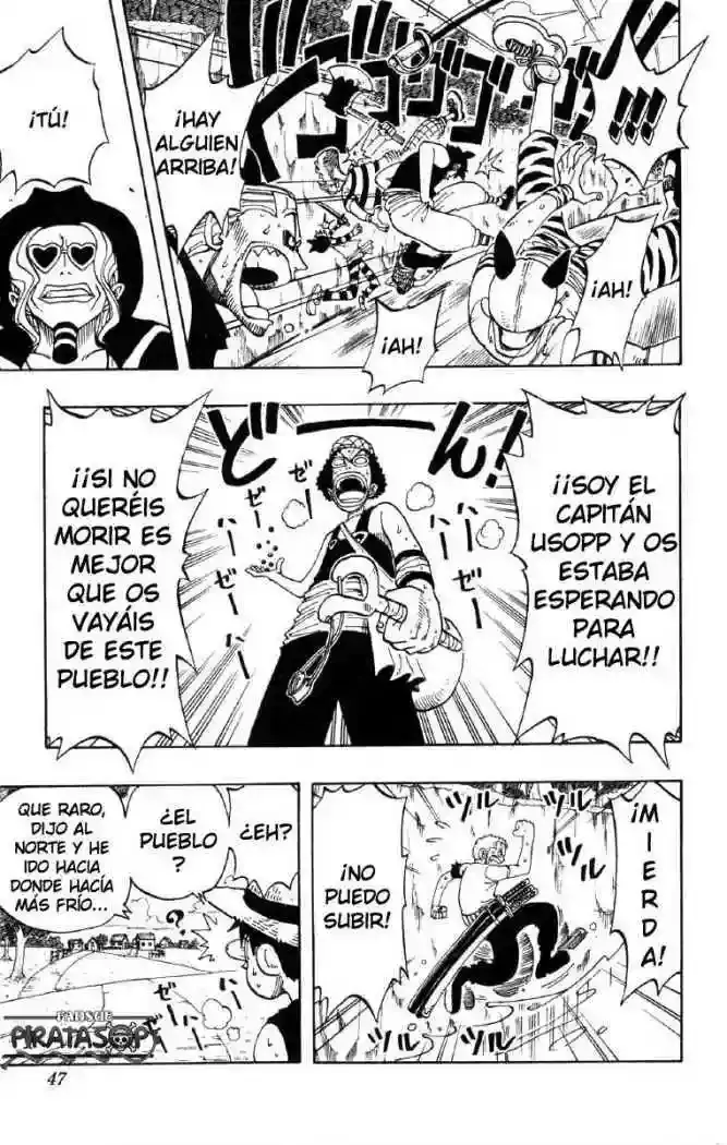 One Piece capítulo 28 página 12
