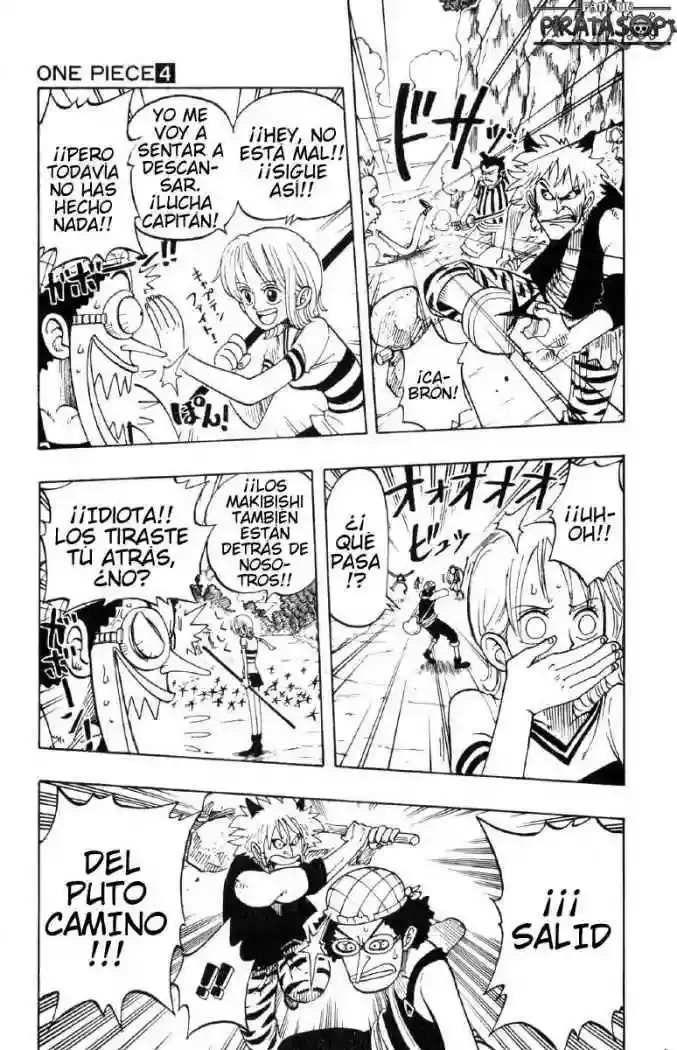 One Piece capítulo 29 página 13