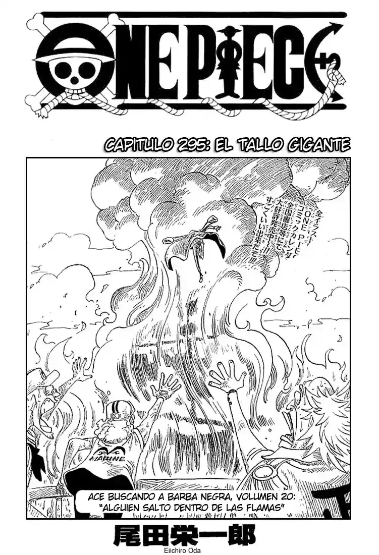 One Piece capítulo 295 página 1