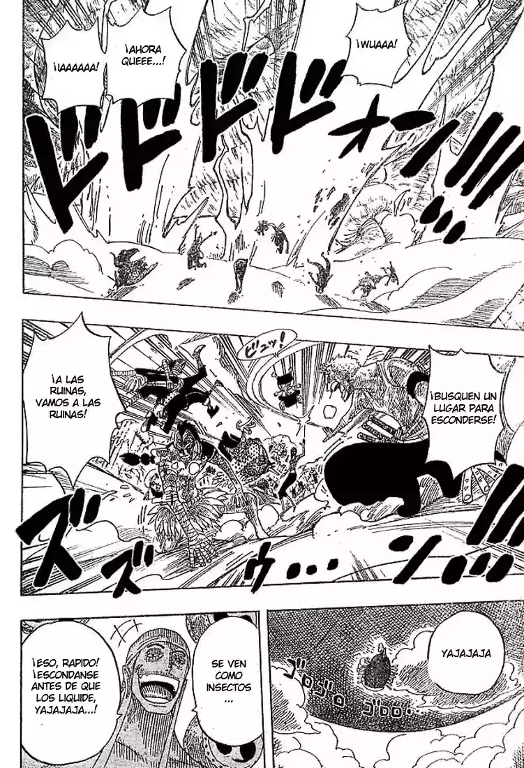 One Piece capítulo 295 página 16