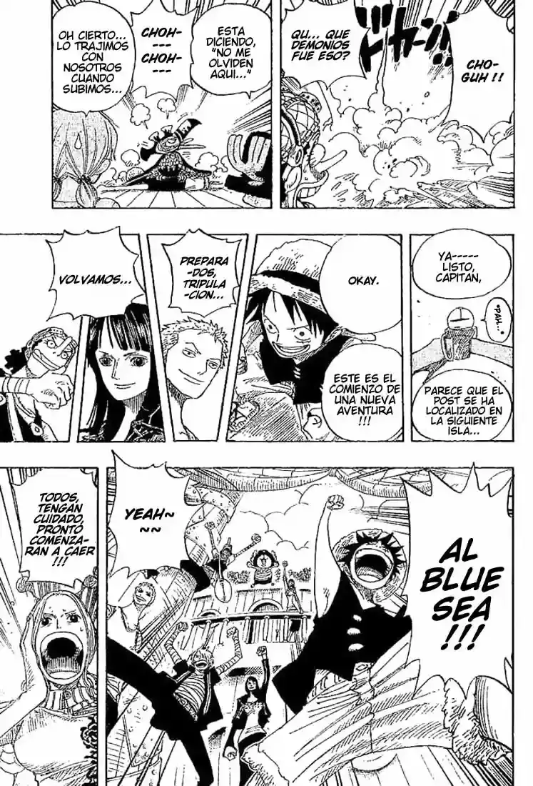 One Piece capítulo 302 página 11