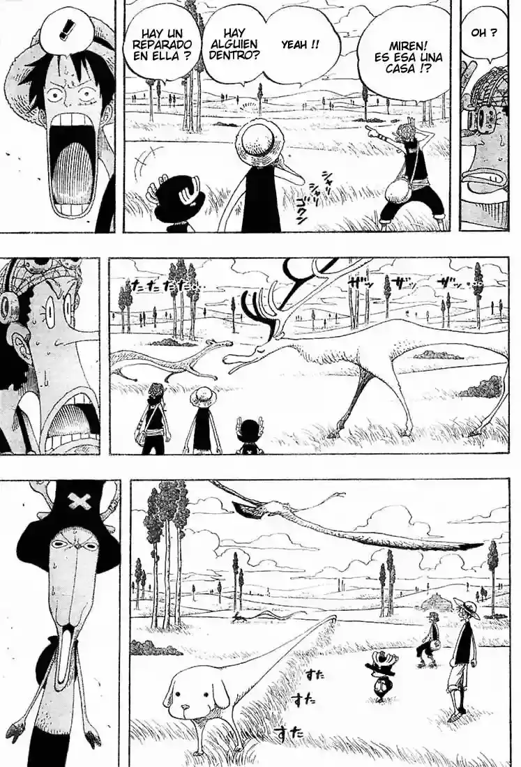 One Piece capítulo 304 página 13