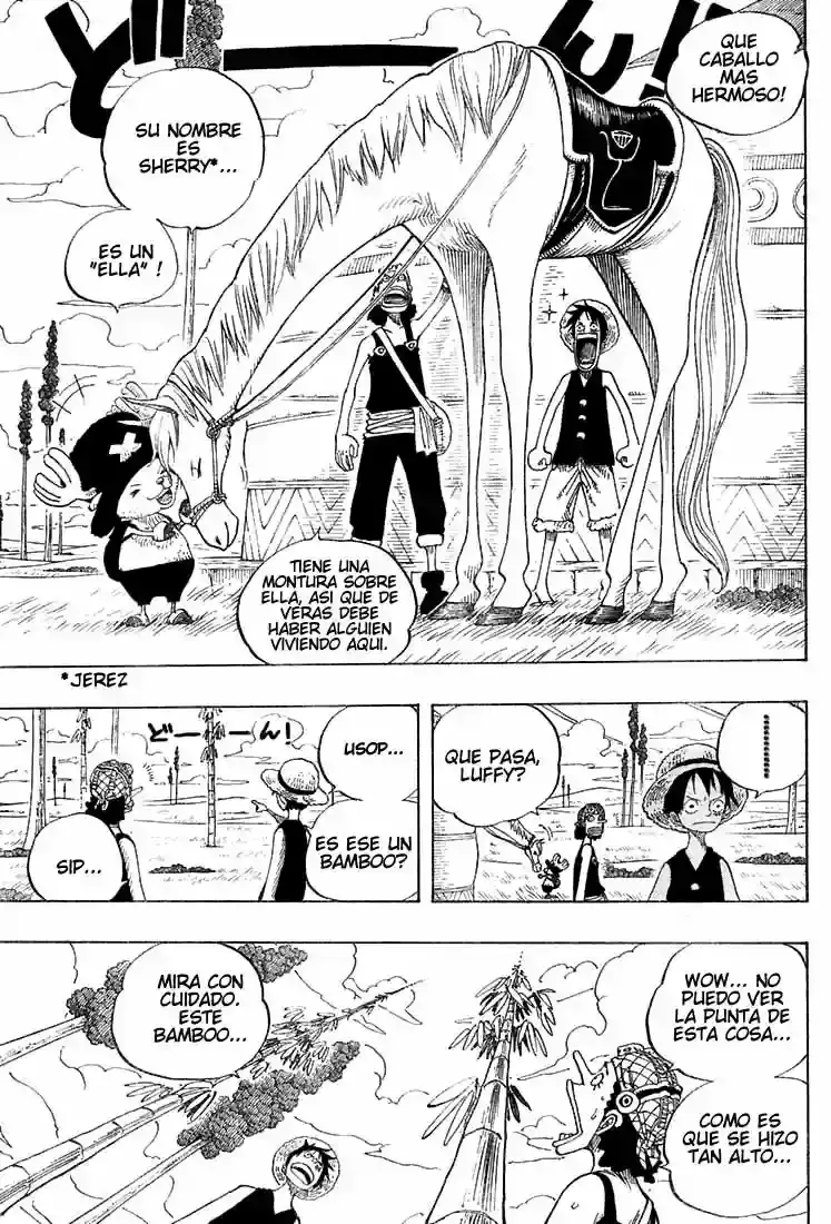One Piece capítulo 304 página 15