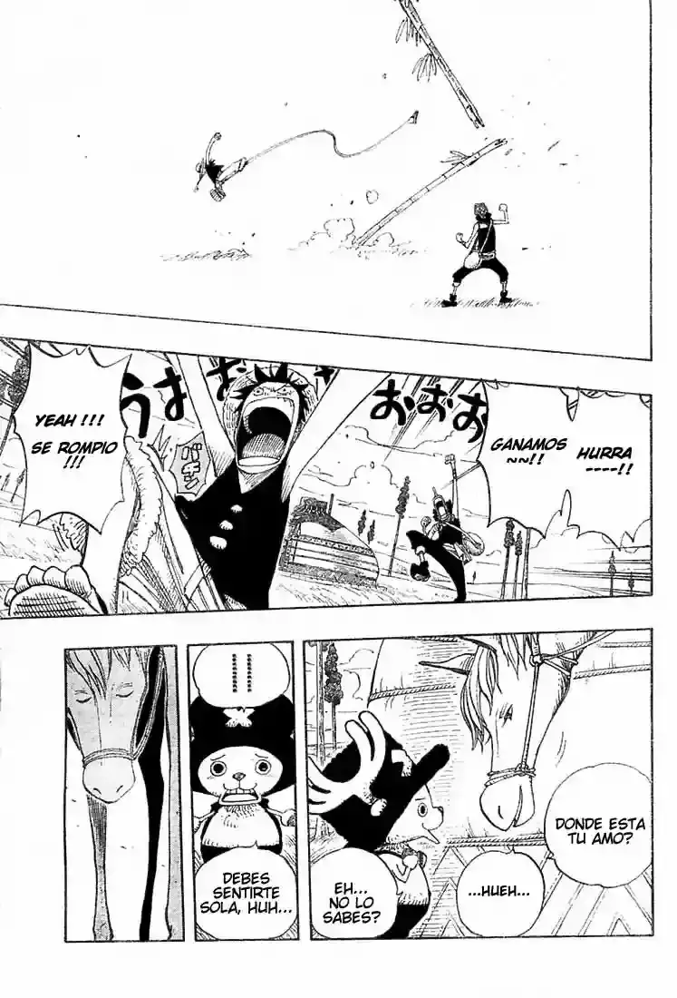 One Piece capítulo 304 página 17