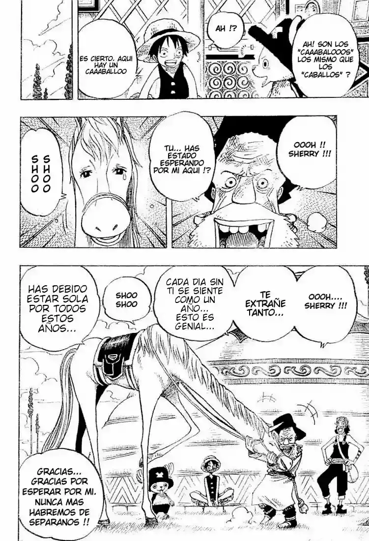 One Piece capítulo 305 página 10