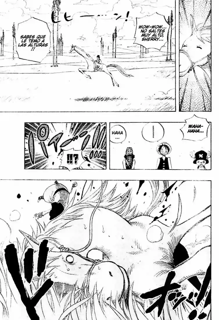 One Piece capítulo 305 página 13