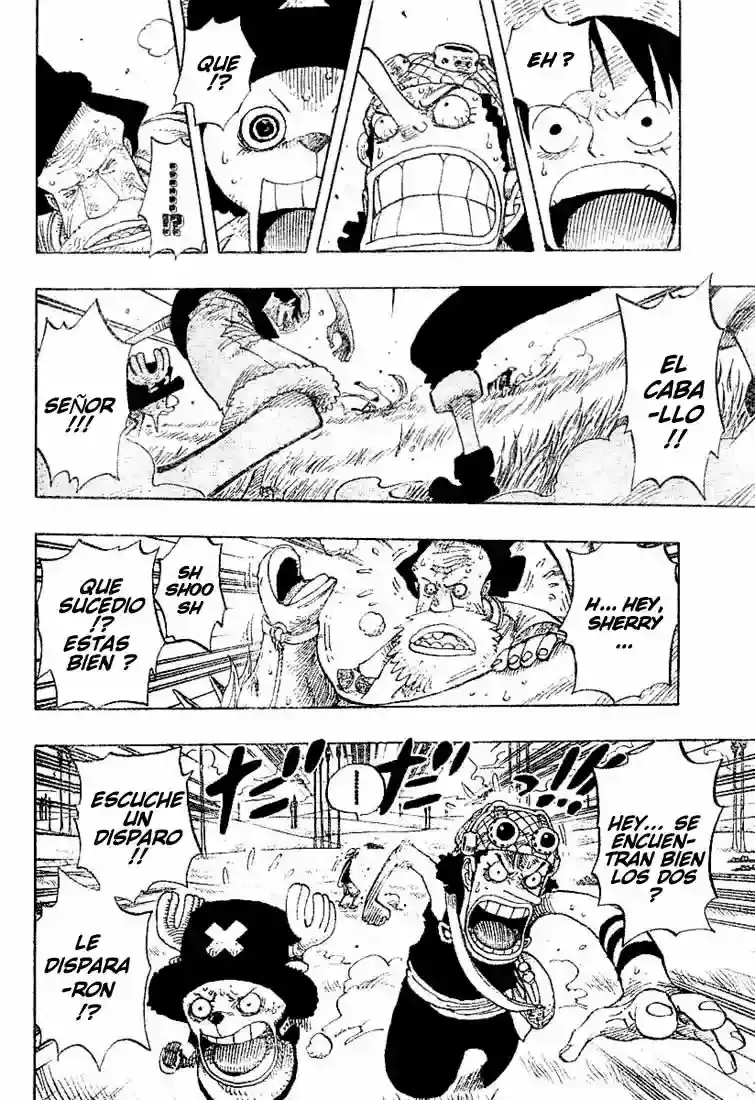 One Piece capítulo 305 página 14