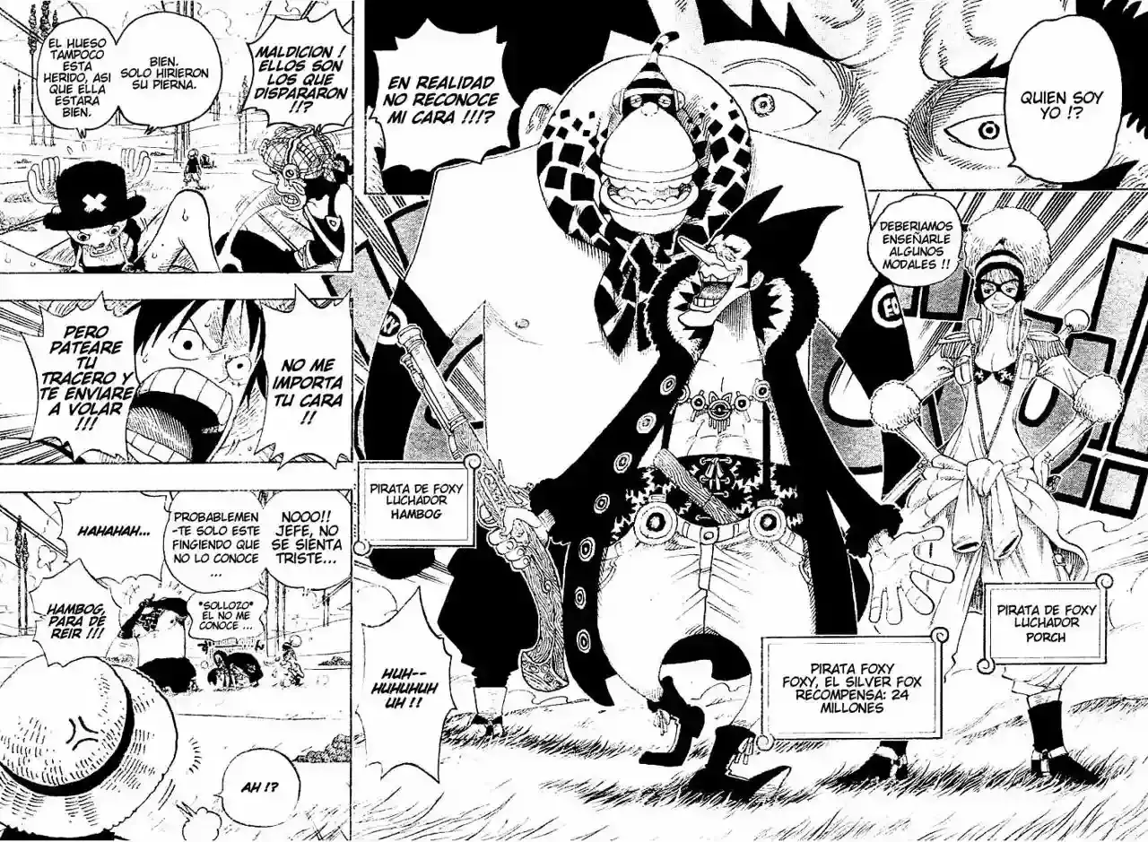 One Piece capítulo 305 página 16
