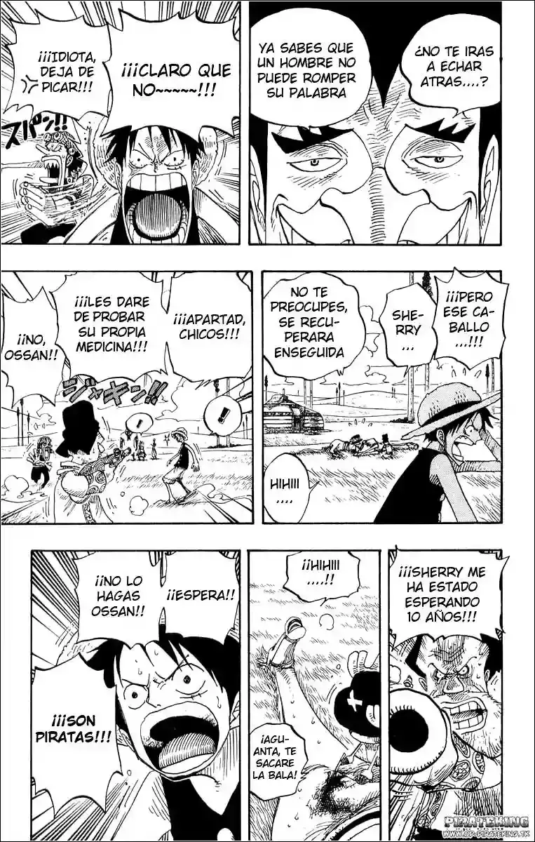 One Piece capítulo 306 página 10