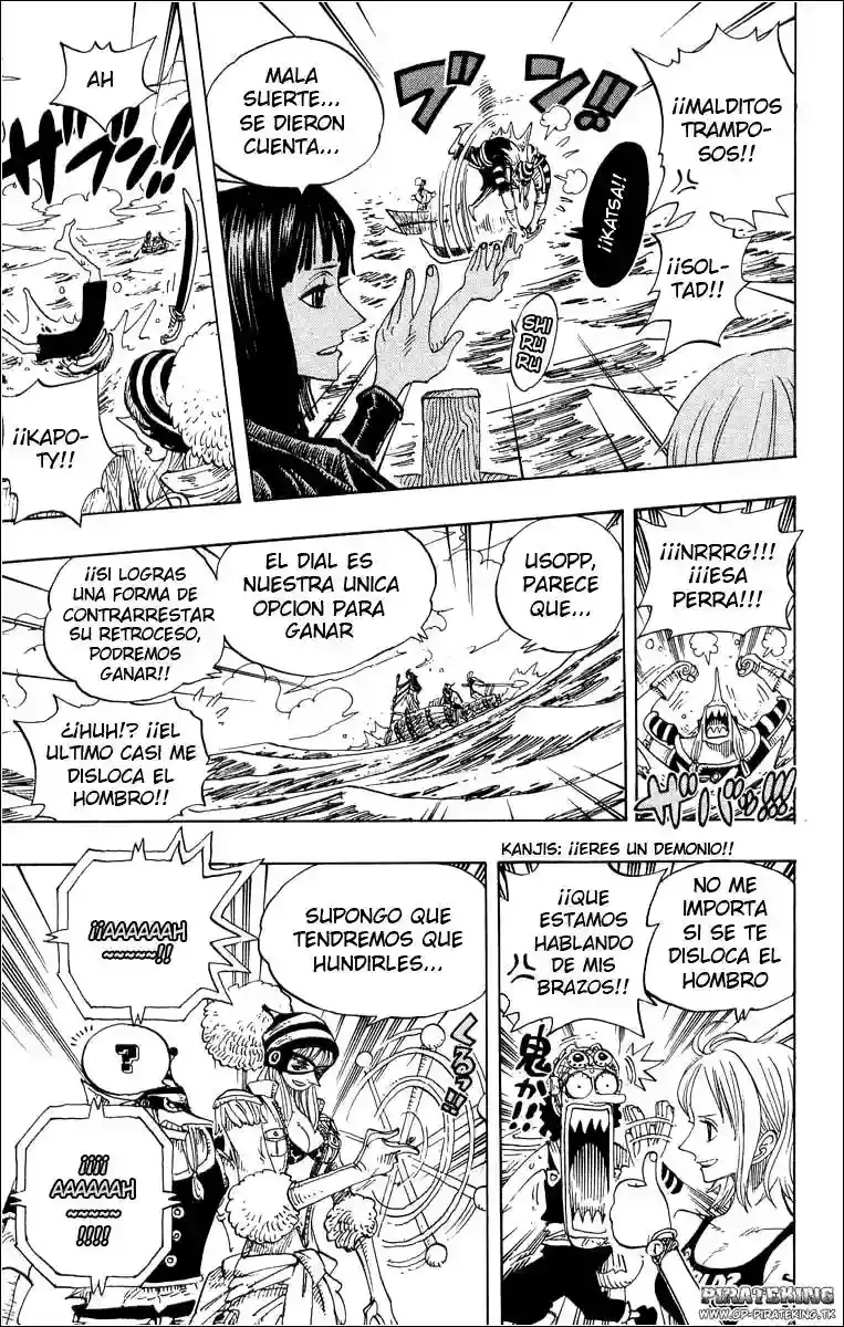 One Piece capítulo 307 página 17