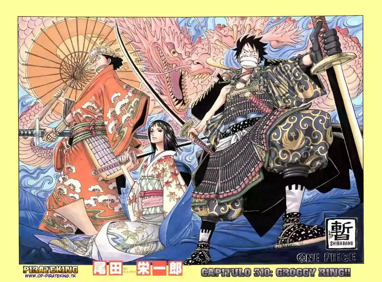 One Piece capítulo 310 página 2