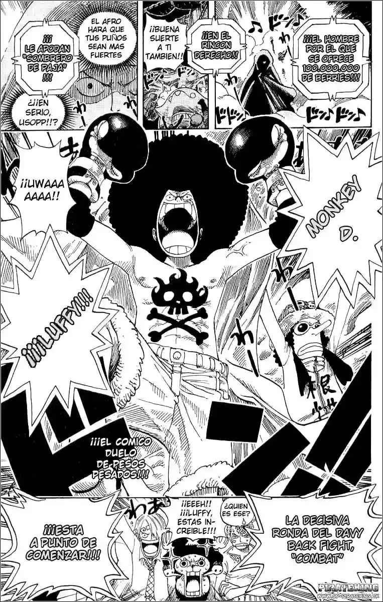 One Piece capítulo 313 página 19