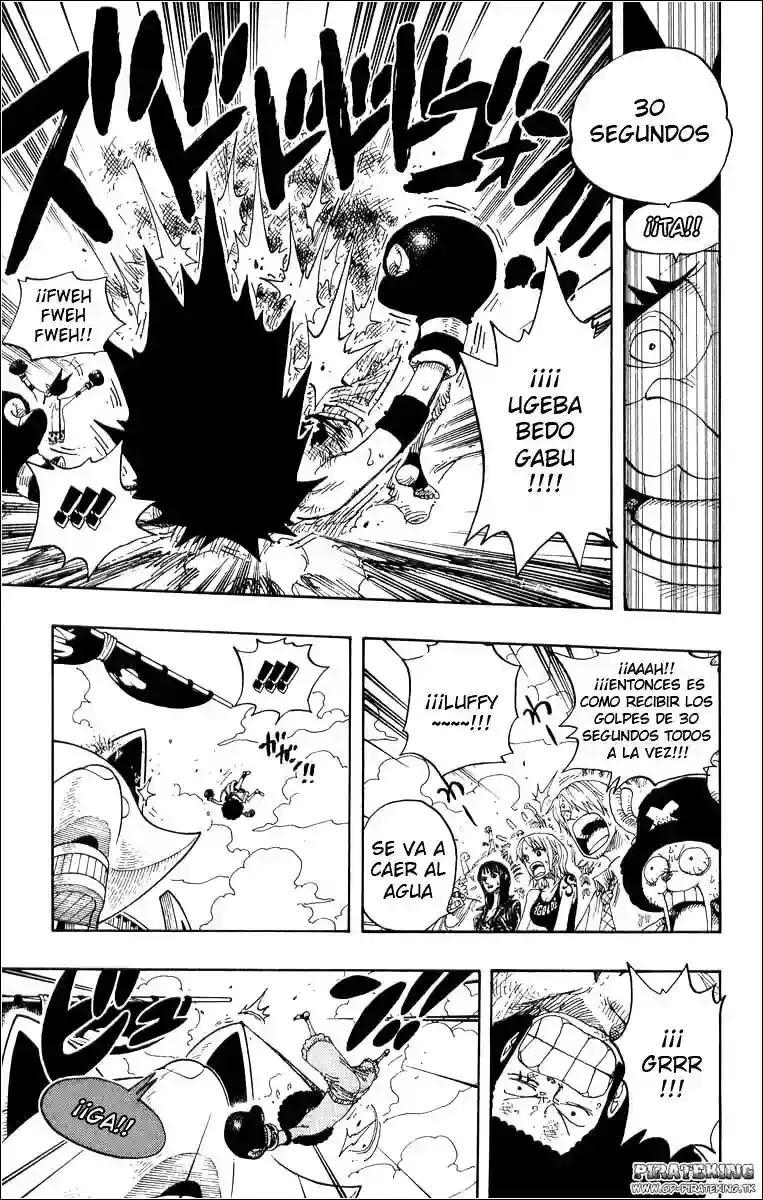 One Piece capítulo 314 página 13