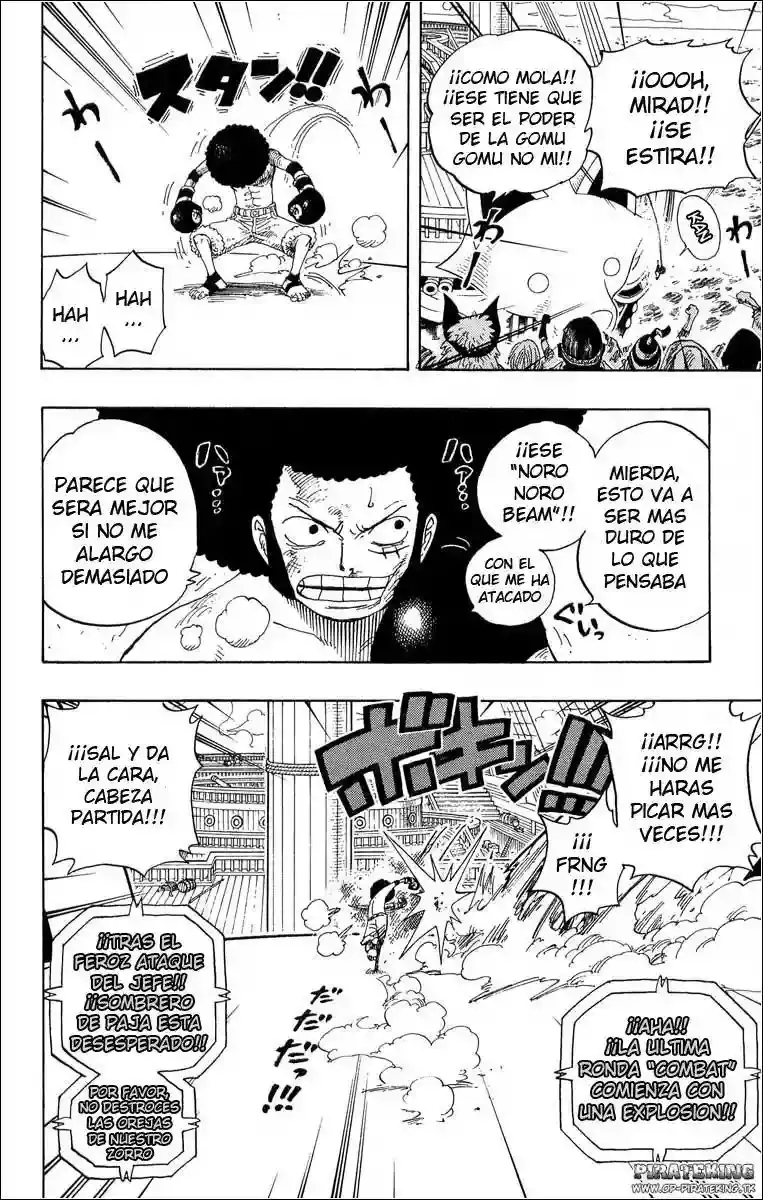 One Piece capítulo 314 página 14