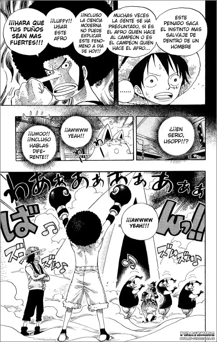 One Piece capítulo 314 página 3