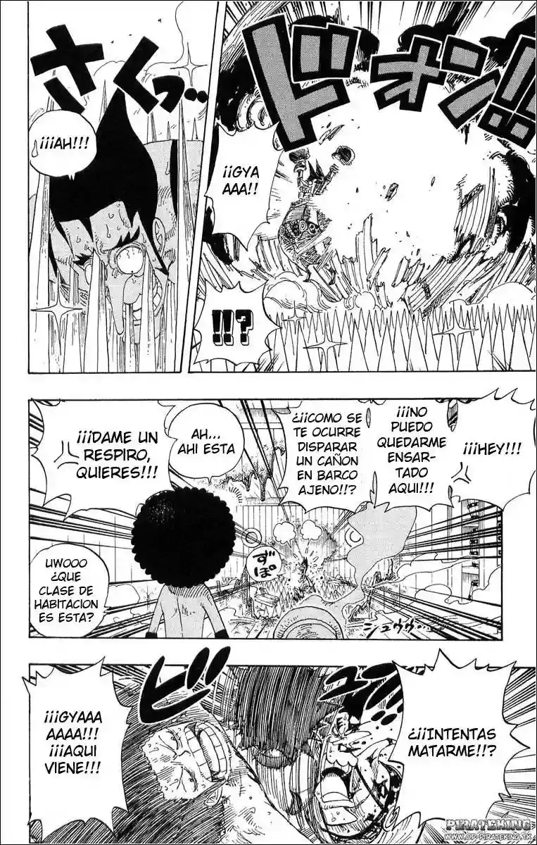 One Piece capítulo 315 página 14