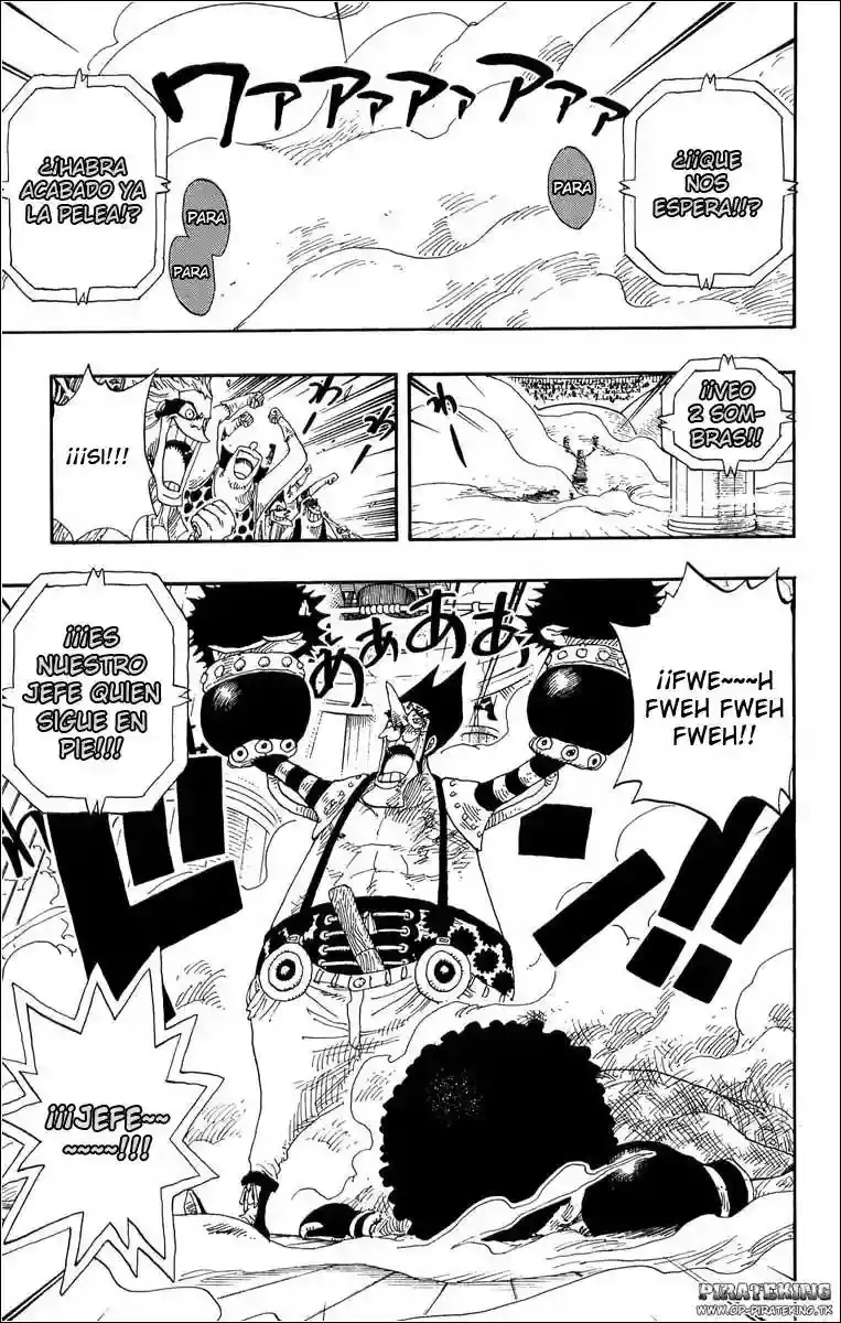 One Piece capítulo 316 página 13