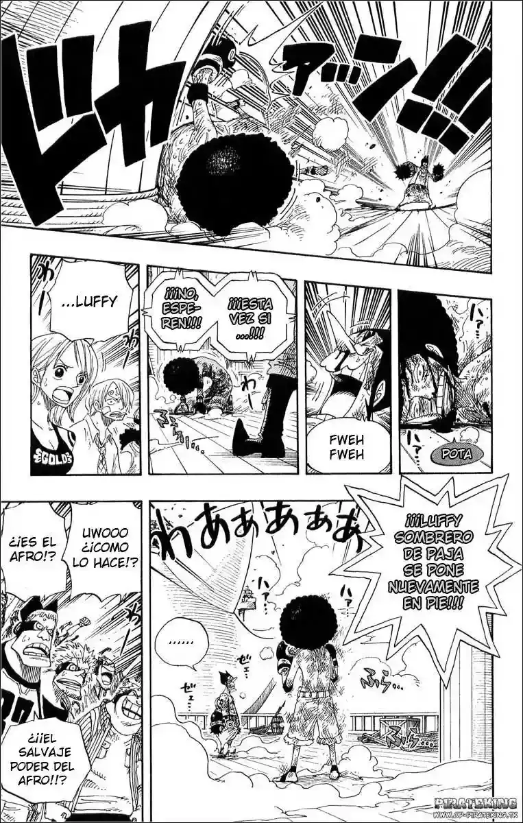 One Piece capítulo 316 página 17