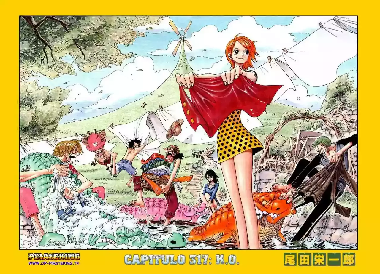 One Piece capítulo 317 página 10