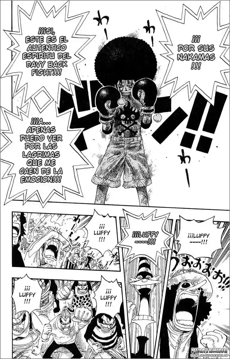 One Piece capítulo 317 página 13