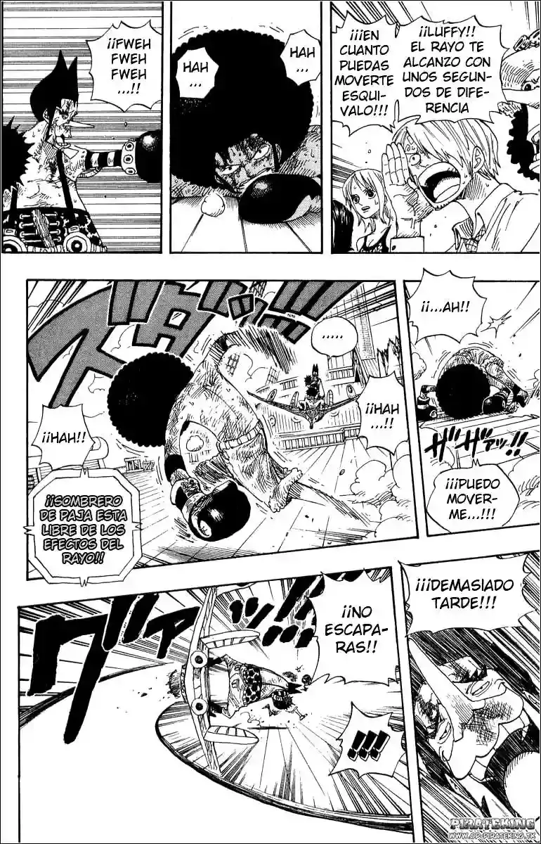 One Piece capítulo 317 página 17
