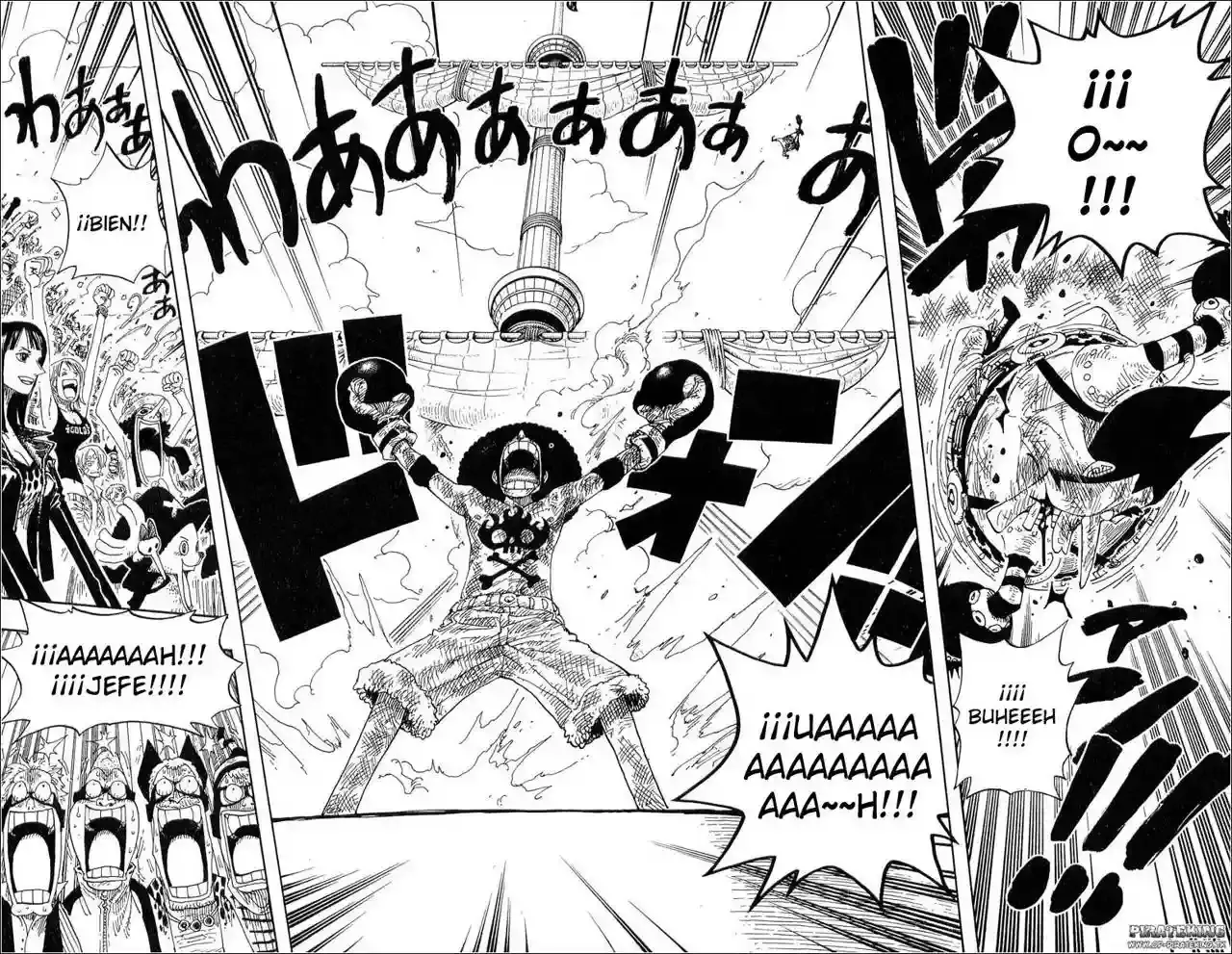 One Piece capítulo 317 página 29