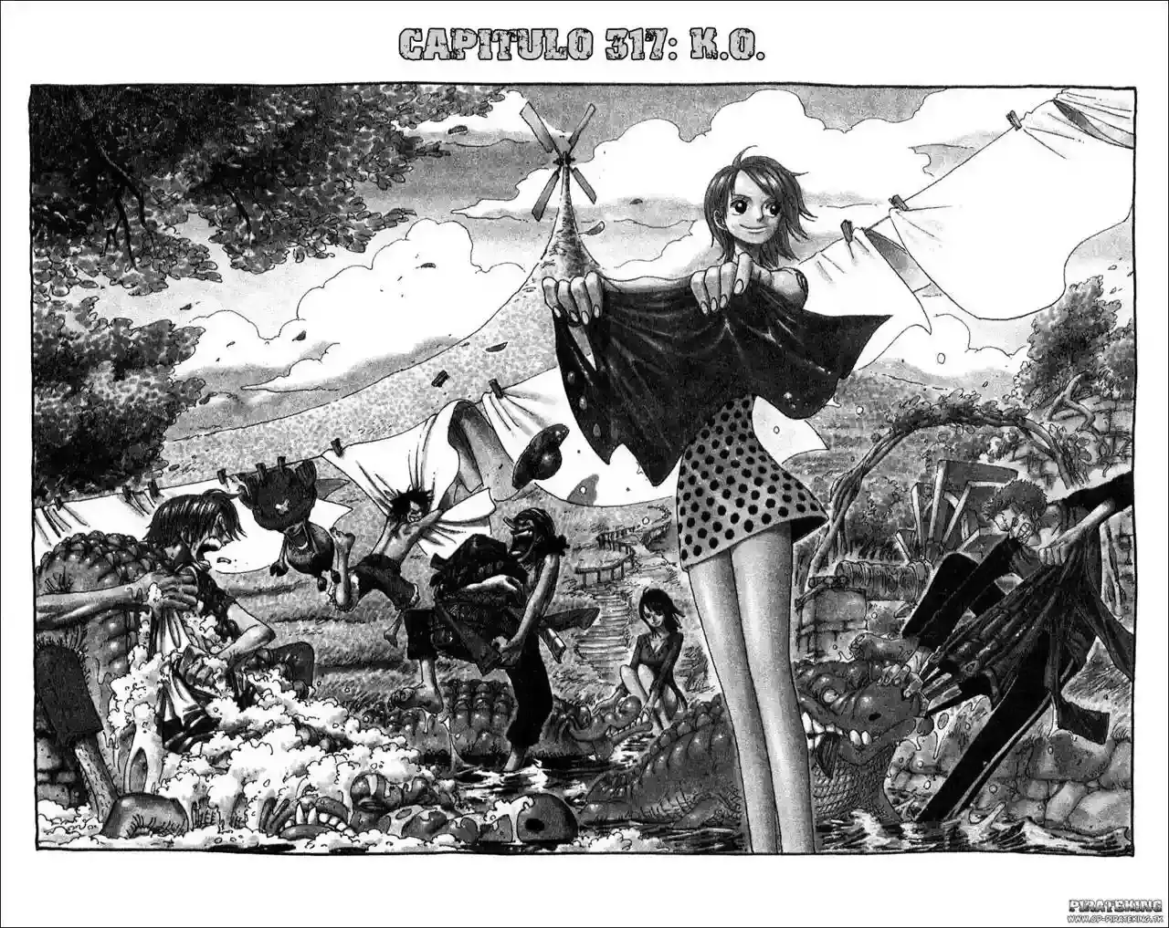 One Piece capítulo 317 página 9