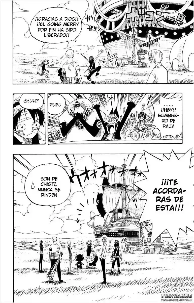 One Piece capítulo 318 página 14