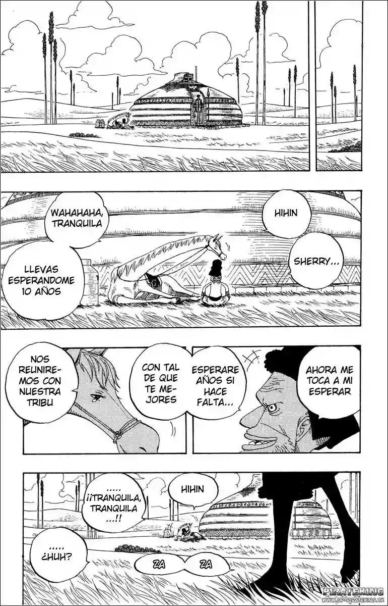 One Piece capítulo 318 página 15