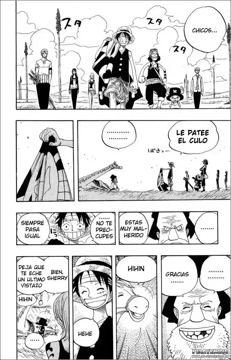 One Piece capítulo 318 página 16