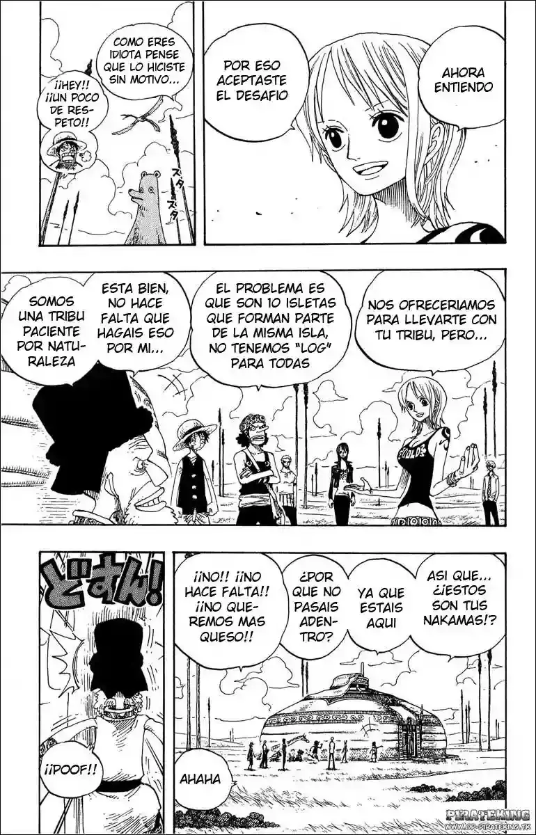 One Piece capítulo 318 página 17