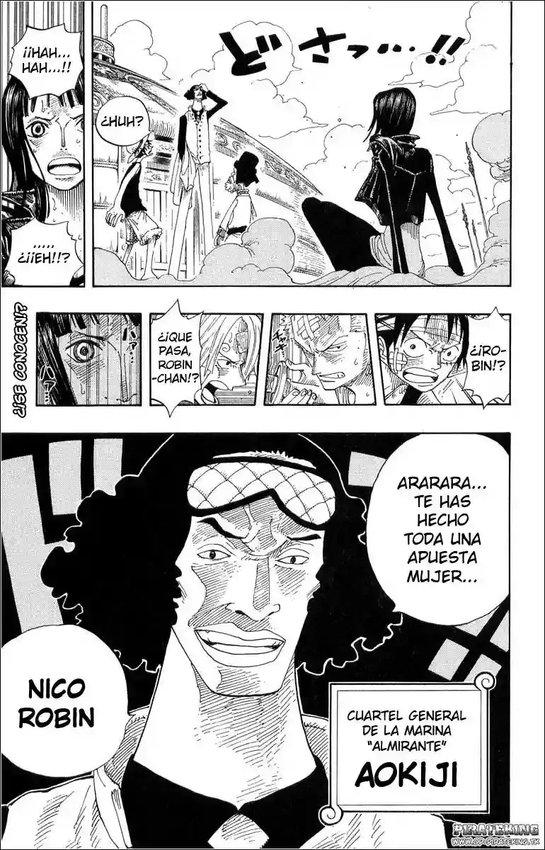 One Piece capítulo 318 página 19