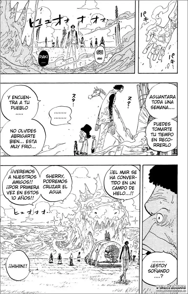 One Piece capítulo 319 página 14