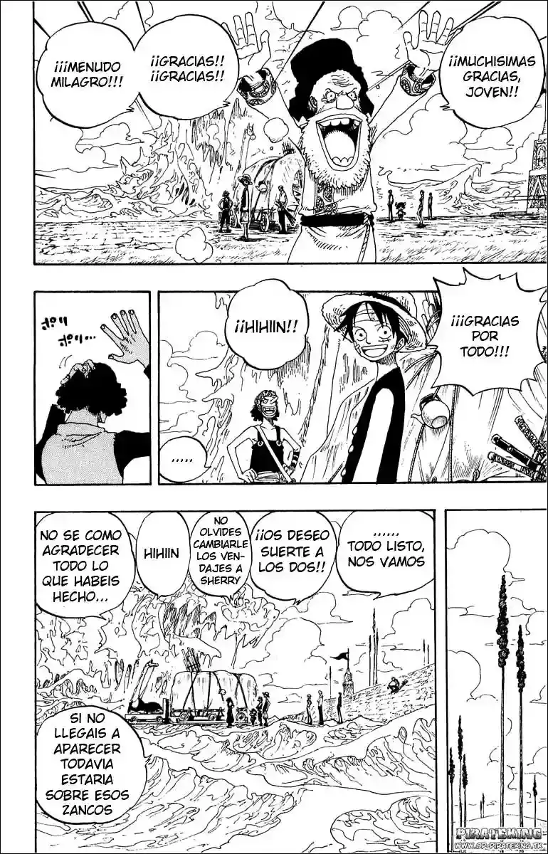 One Piece capítulo 319 página 15