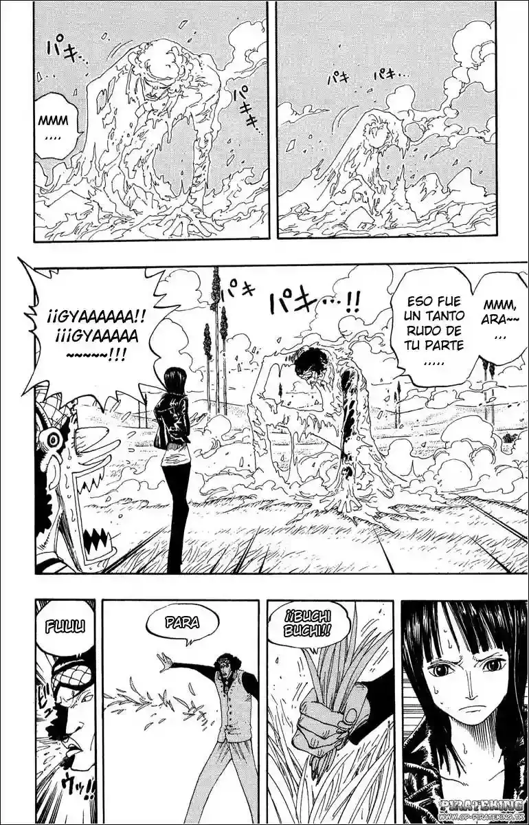 One Piece capítulo 320 página 8